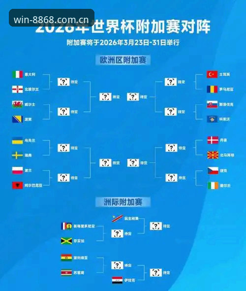 2026世界杯观赛受阻：中东局势与签证新政下，约旦土耳其球迷赴美难最新动态